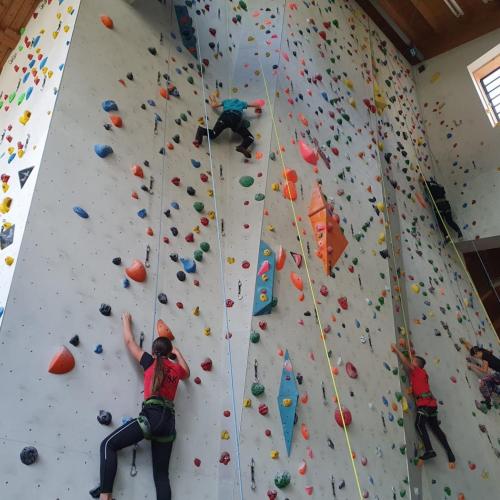 SchülerInnen beim Klettern