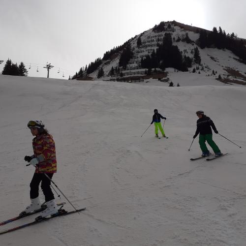 Schüler:innen der Klasse 2b beim Skifahren