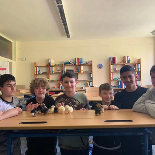 Gruppenfoto von Schülern mit den Küken.
