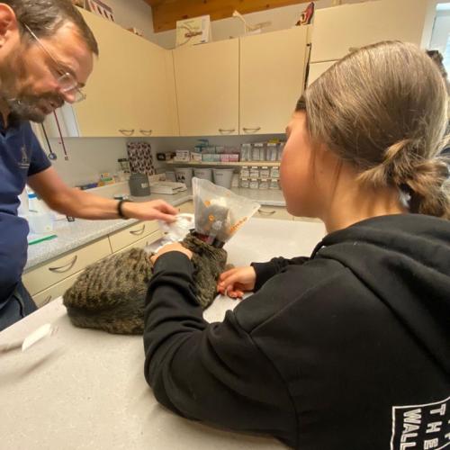 Schnuppertage 2022 23 03