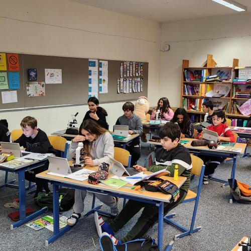 Schüler:innen schauen sich durch Mikroskope Blätter an.