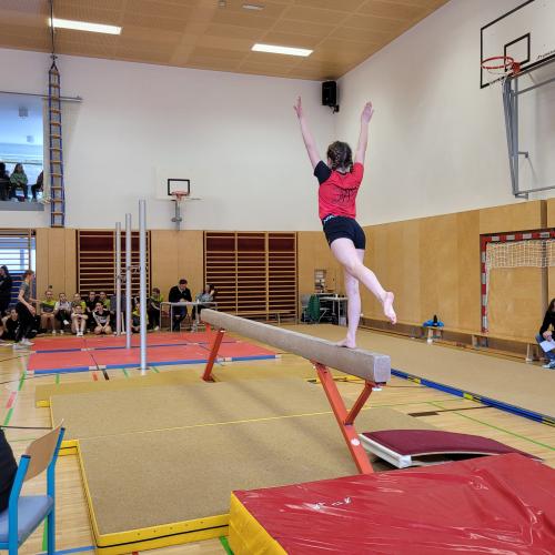 Turnerin auf dem Reck