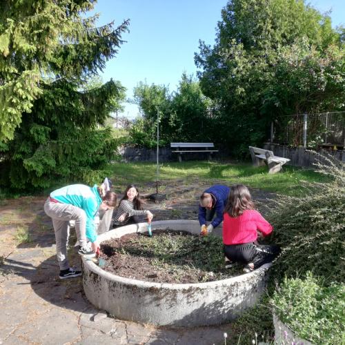 Schüler:innen beim Kräutergarten