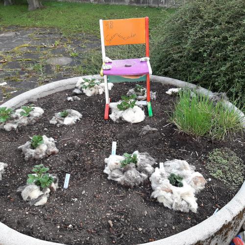 Kräutergarten mit Deko