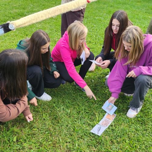 Schüler:innen bei einer Gruppenarbeit.