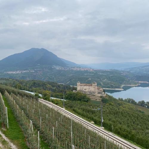 Ausblick über Cles.