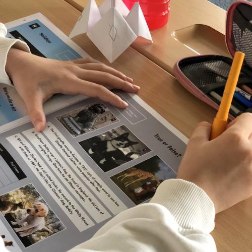 Schüler beim Bearbeiten einer True and False Aufgabe.