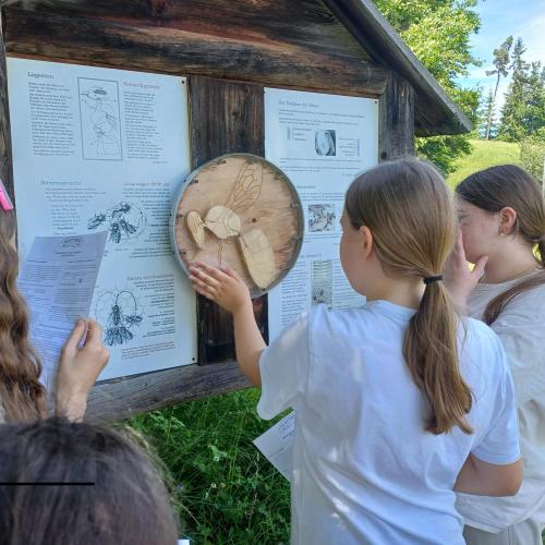 Kinder beim Bearbeiten des Quizes im Imkereimuseum.