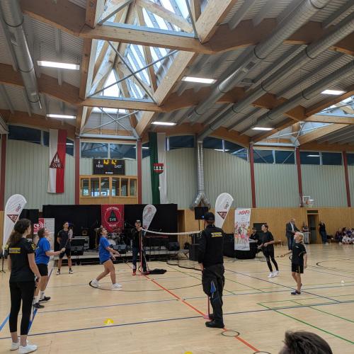 Zweigverein Badminton
