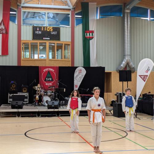 Zweigverein Taekwondo