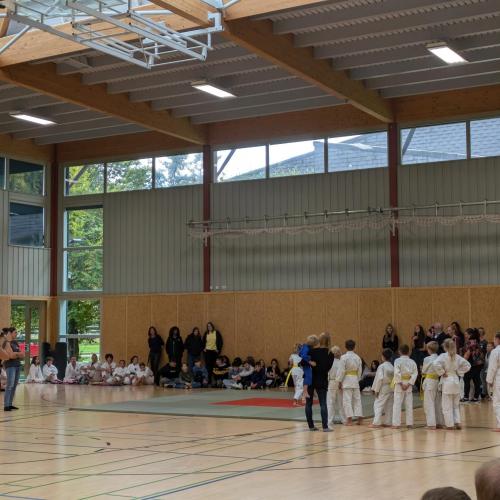 Zweigverein Judo