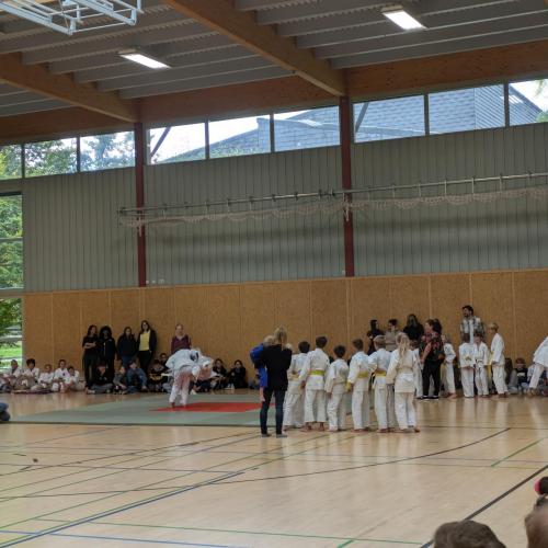 Zweigverein Judo