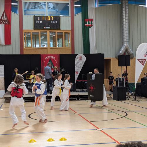Zweigverein Taekwondo