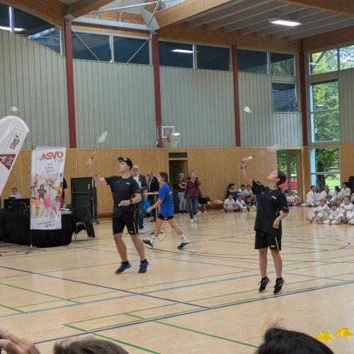 Zweigverein Badminton