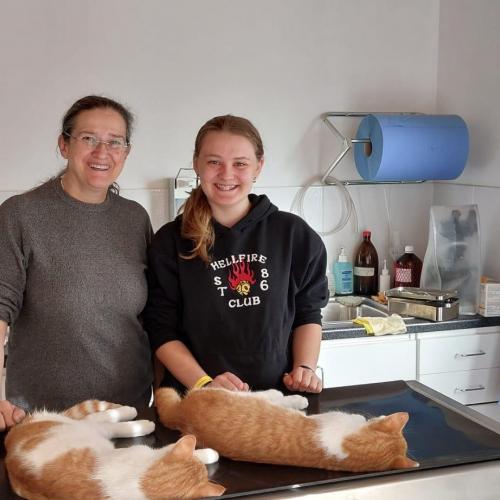 Eine Schülerin steht mit der Tierärztin hinter einem Behandlungstisch auf dem zwei Katzen liegen.