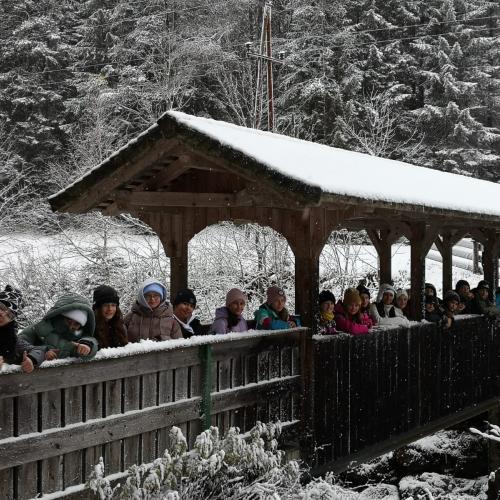 Gruppenfoto der Klasse an einer Holzbrücke.