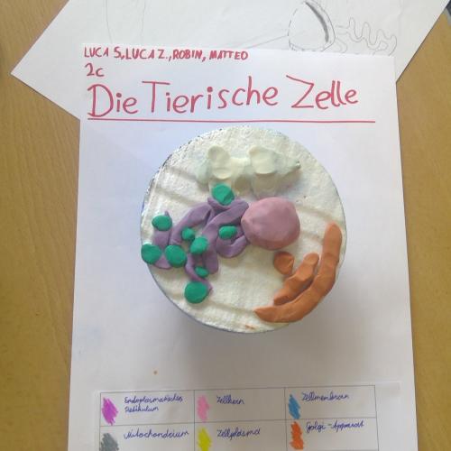 Produkt des 3D-Modells.