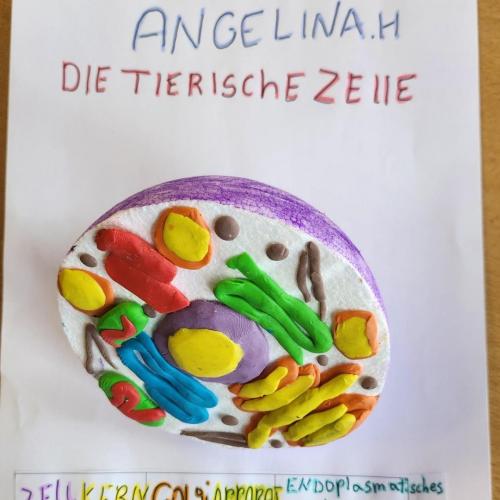 Plakat eines 3D Modells 