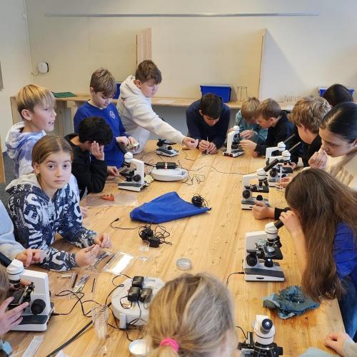 Schüler:innen arbeiten im MINT-Raum mit den Mikroskopen.