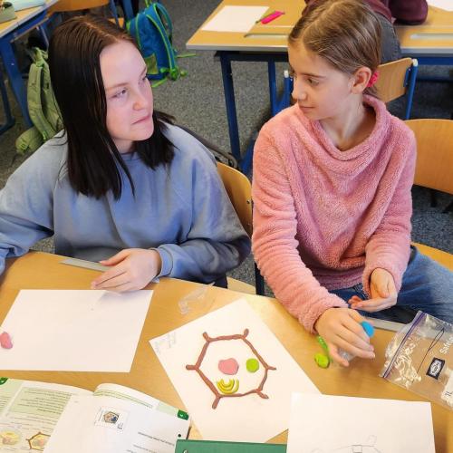 Zwei Schülerinnen erstellen ein 3D-Modell.