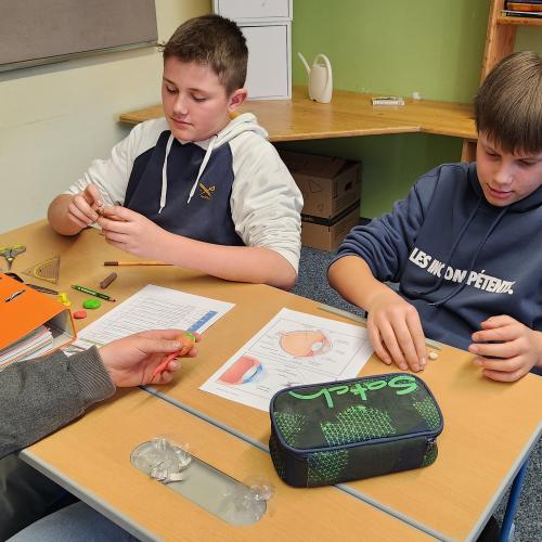 Schüler bearbeiten die Arbeitsaufträge zum Thema Sehen.