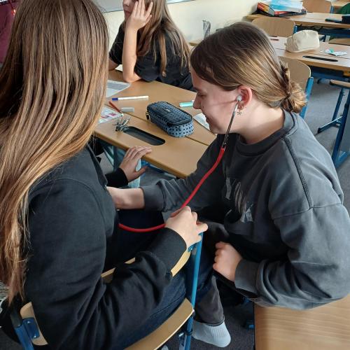 Schülerin misst Blutdruck und Puls.