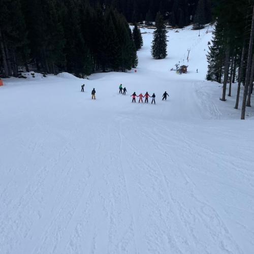 Abfahrt mit den Fun-Carvern.