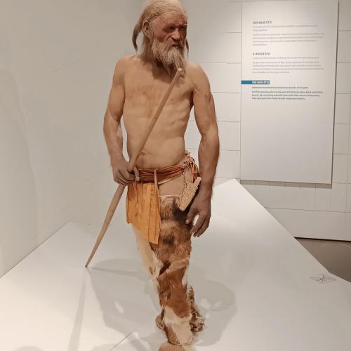 Figur von Ötzi. Besuch des Ötzimuseums in Bozen