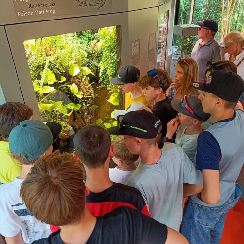 Museumsbesuch