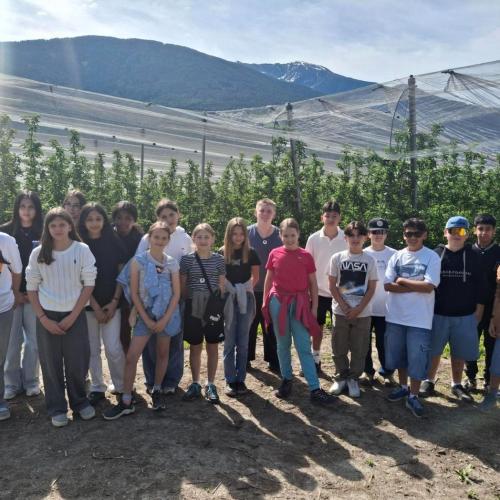 Klassenfoto auf einer Apfelplantage.
