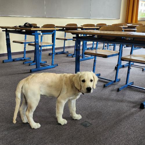 Bingo in einer Schulklasse vor dem Umbau.