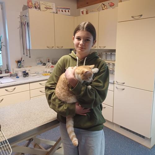 Schülerin mit einer Katze auf dem Arm im Tierheim.
