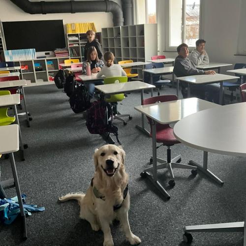 Unser Schulhund Bingo sitzt in der Klasse. Im Hintergrund sind Schüler:innen zu sehen.