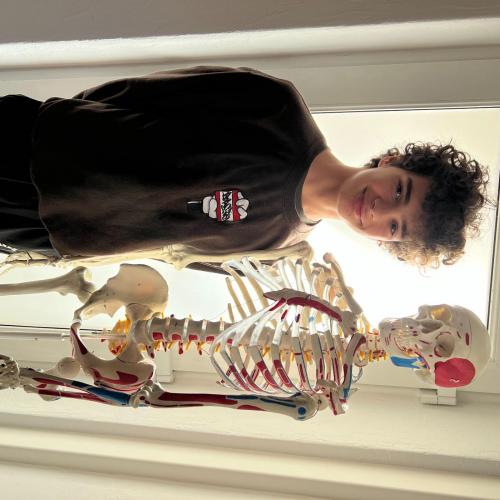 Schüler beim Schnuppern beim Physiotherapeut. Schüler steht neben einem Skelett.