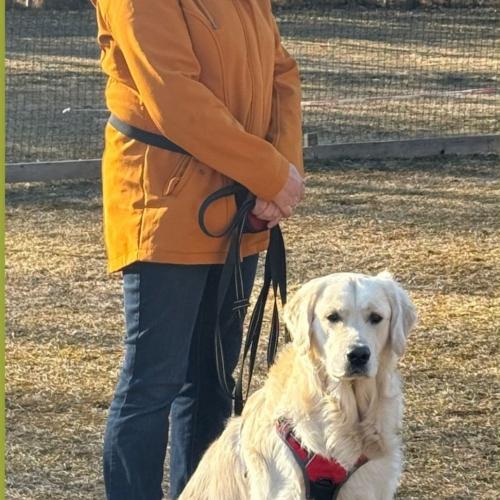Bingo mit seinem Frauchen