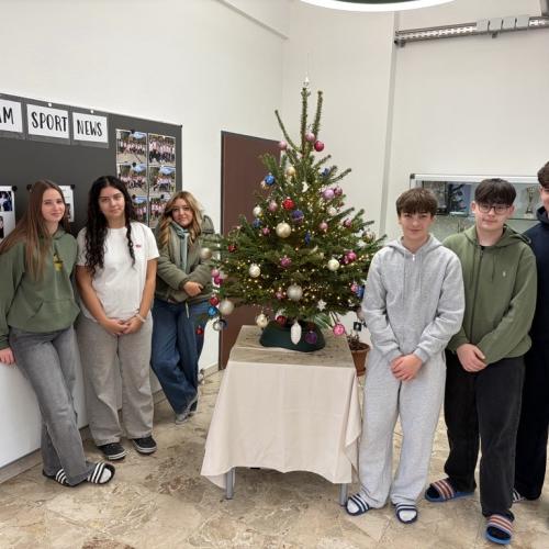 Gruppenfoto der Schüler:innen der 4c die den Tannenbaum geschmückt haben.