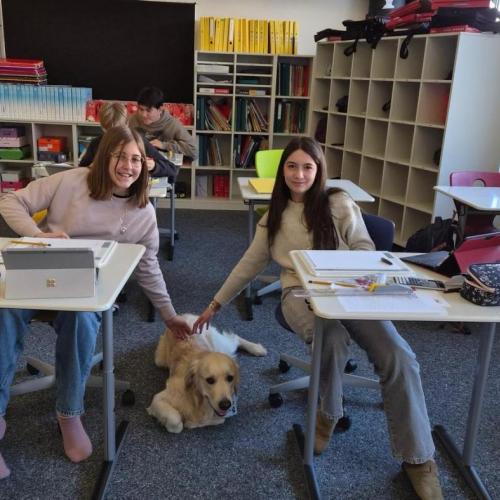 Zwei Schülerinnen der 4c streicheln unseren Schulhund Bingo.