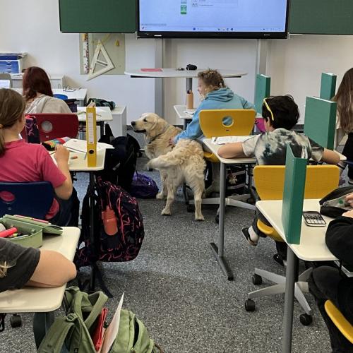 Schulhund begleitet Schüler:innen beim Schreiben einer Schularbeit.