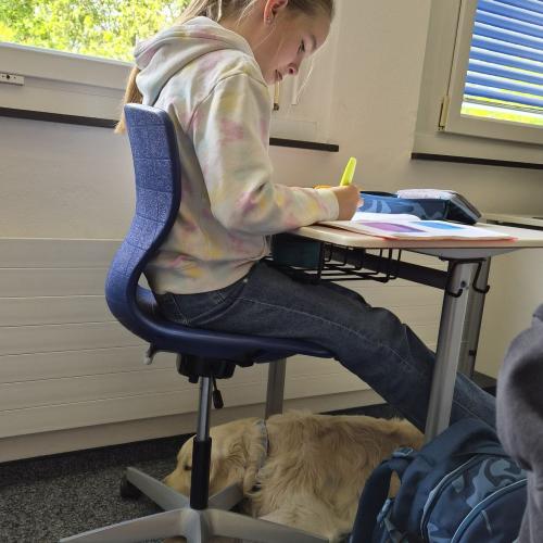 Schulhund begleitet Schüler:innen beim Schreiben einer Schularbeit.