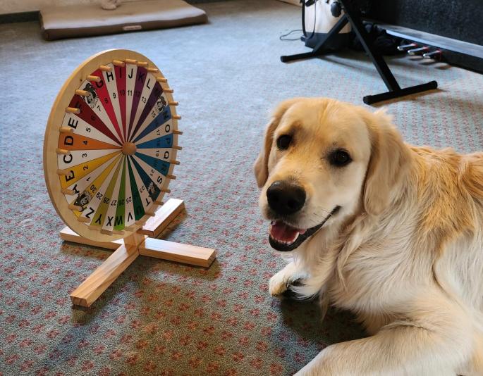 Schulhund Bingo im Klassenzimmer vor einer Drehscheibe für Mathematik.