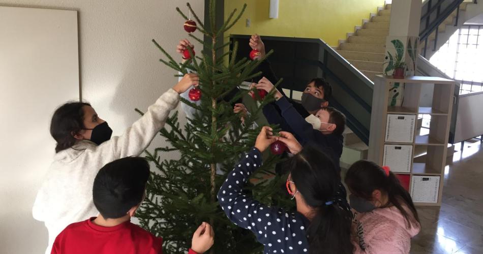 Schüler:innen dekorieren den Tannenbaum der Schule.