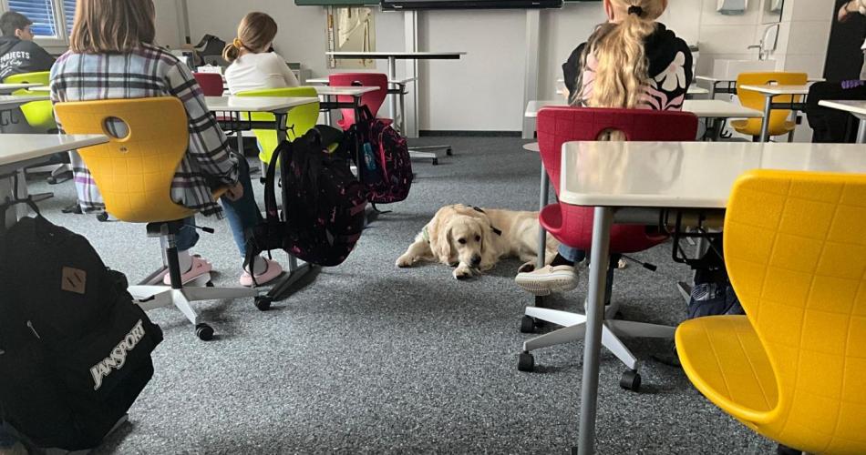  Unser Schulhund Bingo liegt zwischen den Tischreihen, während die Schülerinnen konzentriert dem Unterricht folgen.