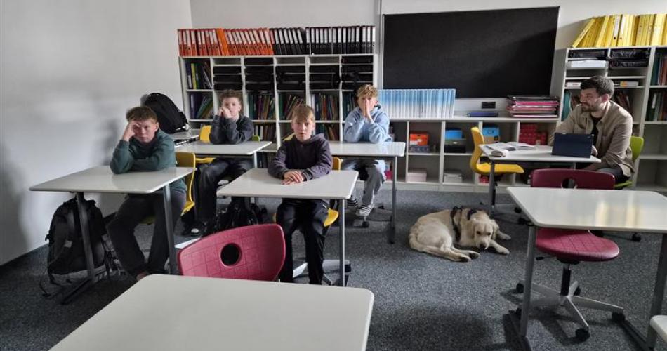 Schulhund Bingo liegt neben den Schüler:innen am Boden. 