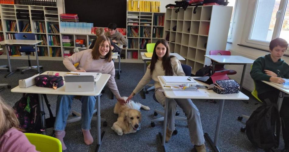 Zwei Schülerinnen der 4c streicheln unseren Schulhund Bingo.